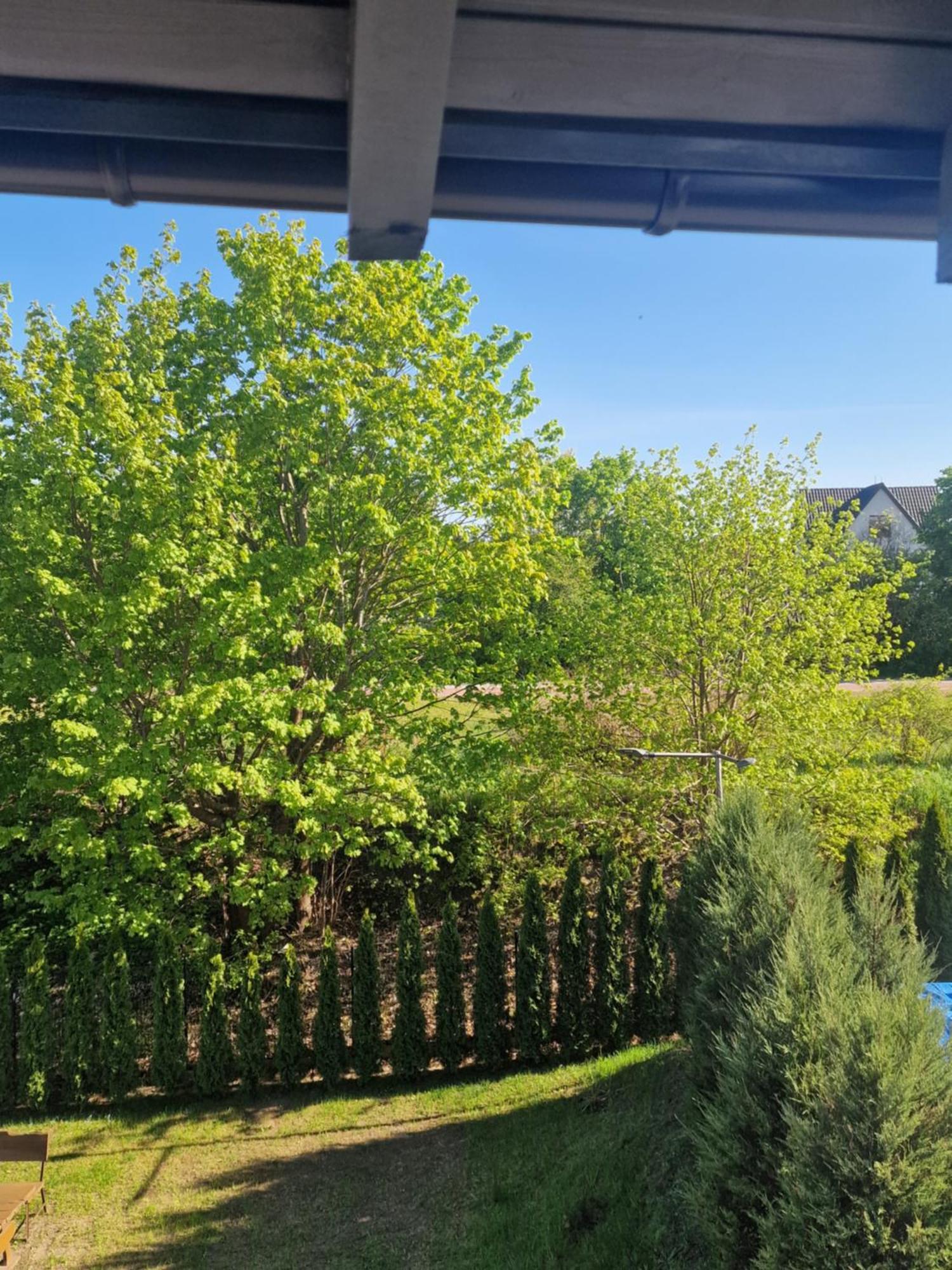 Apartamenty Mazury Мронгово Екстериор снимка